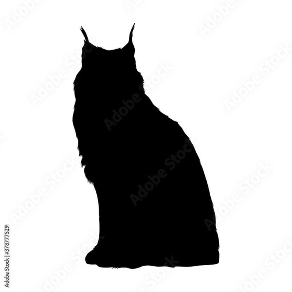 Fototapeta Sitting Lynx Cat (Felis Lynx) On a Side View Silhouette Found In Map Of Eurasia, Europe And North America. Good To Use For Element Print Book, Animal Book and Animal Content
