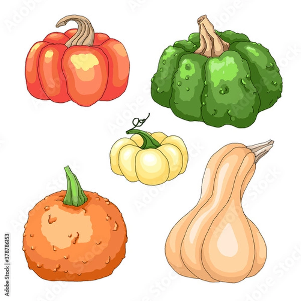 Obraz set of pumpkins