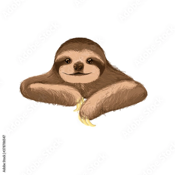 Obraz  three-toed sloth