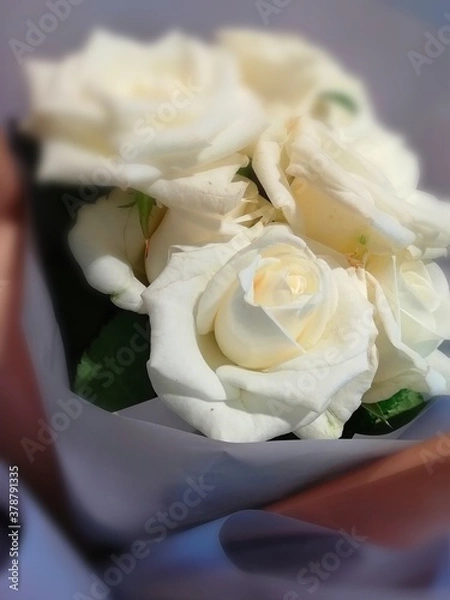Obraz bouquet of roses