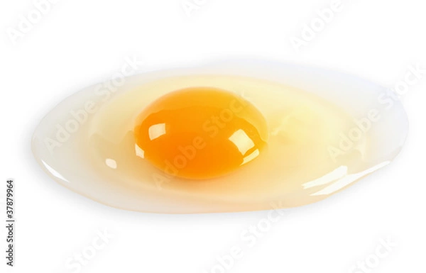 Fototapeta Egg