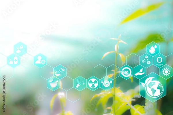 Obraz Agriculture and technology abstract concept, Futuristic ai virtual icons with Sustainable energy, Alternative medicine, Natural herbal remedies, on Free space Blurred gentle artistic nature background