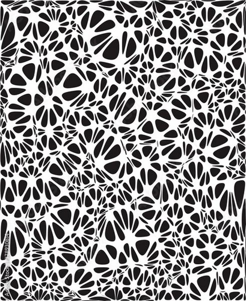 Obraz Spider Pattern Pattern