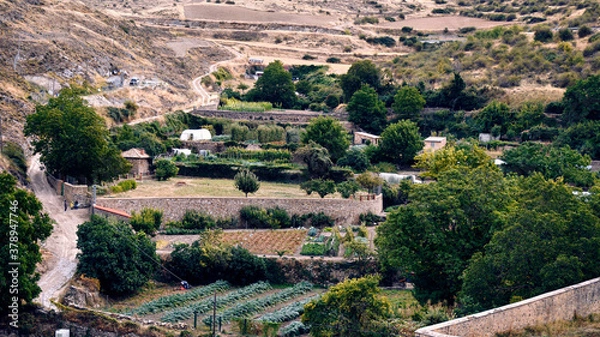 Obraz soriana garden