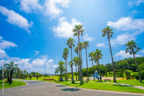 Obraz 辻堂海浜公園