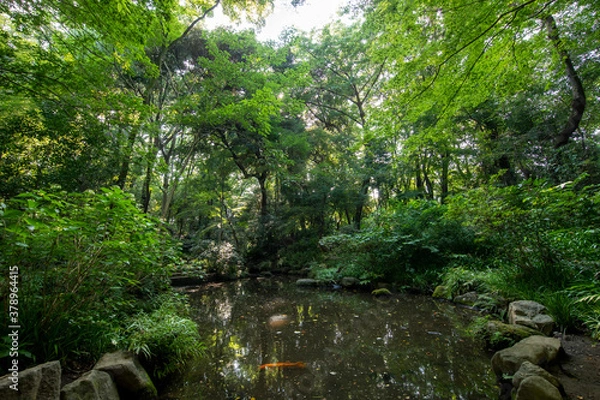 Fototapeta 新宿区立おとめ山公園