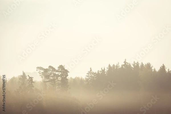 Obraz Abstrakter Morgennebel im Herbst