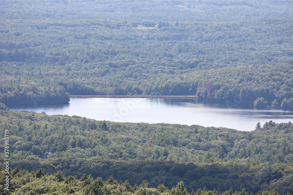 Fototapeta Landscape of a forest with a beautiful river