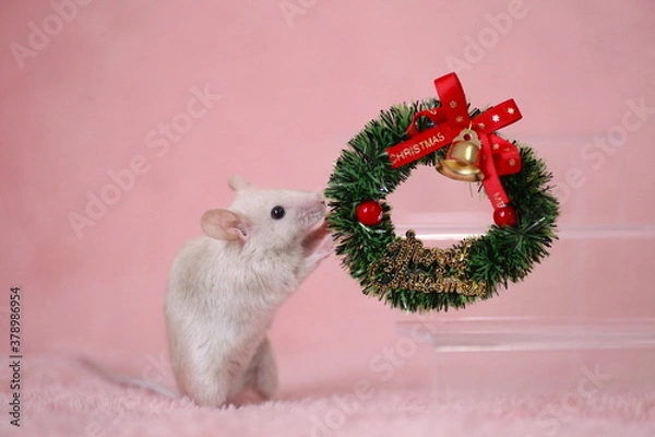 Obraz クリスマスリースの飾り付けをしているハツカネズミ