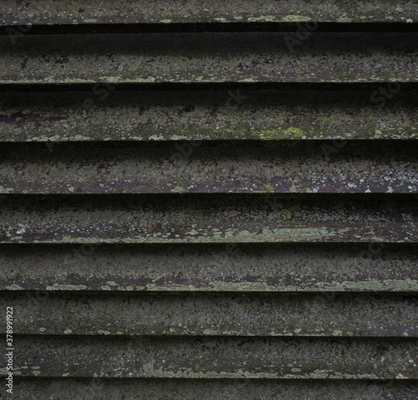 Fototapeta The texture of the wooden wall of planks