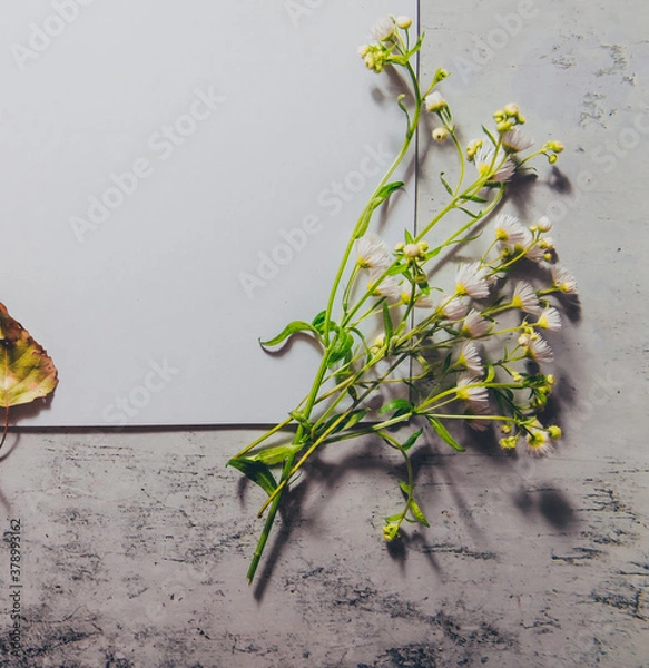 Obraz Moody wedding styled composition with blank white paper card. Feminine desktop mockup scene with green herbs, jute string, vintage fall dry leaves. Top view flat lay photo.