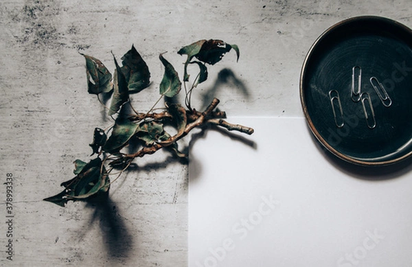 Obraz Moody dark feminine mockup flat lay photo of autumn stationery with white blank paper and dry authentic fall tree branches and paper clips. Online blog web banner. Styled stock photo, web banner.