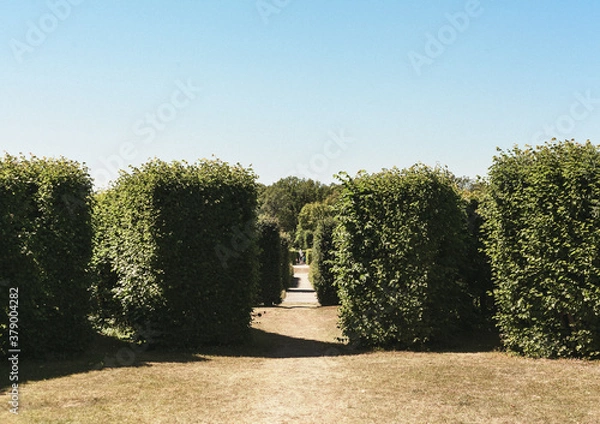 Obraz statue in the garden