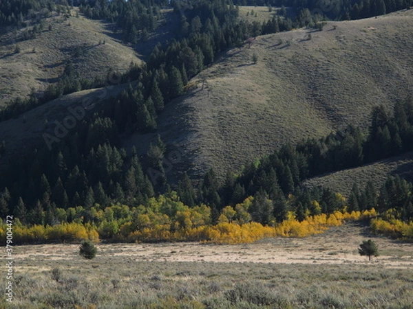 Obraz アメリカのワイオミング州のグランドティトン国立公園