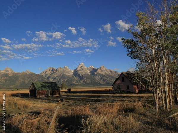 Obraz アメリカのワイオミング州のグランドティトン国立公園