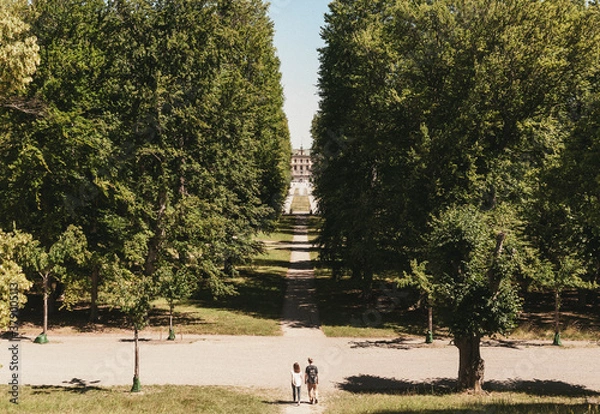 Obraz people walking in park