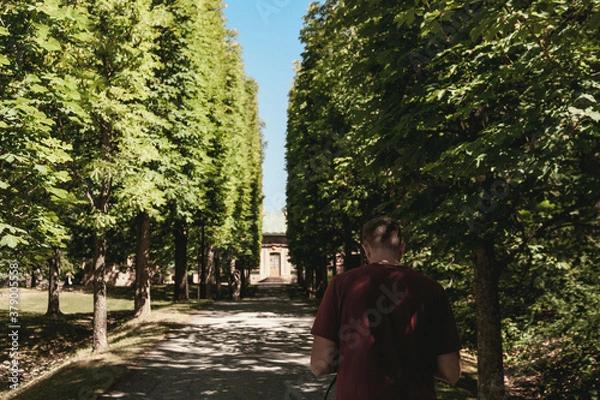 Obraz walking in the park