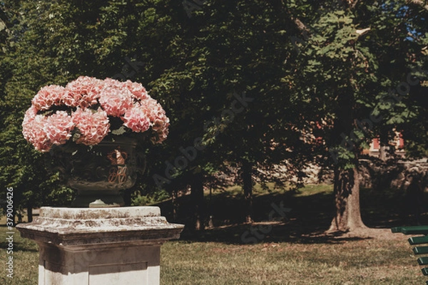 Obraz flowers in the park