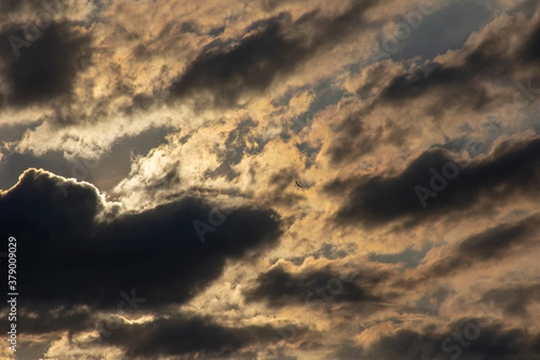 Fototapeta clouds in the sky