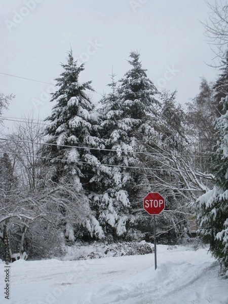 Obraz Stop Sign in Winter