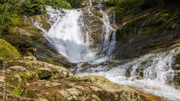 Fototapeta Waterfall in the rainforest of the Cameron Highlands, Malaysia. A rainforest river tumbles down the rocky abyss. Water splashes on the rocks. Masses of water poured over stones and flow into a stream