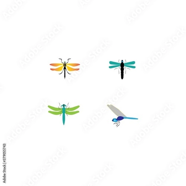 Fototapeta Dragonfly vector
