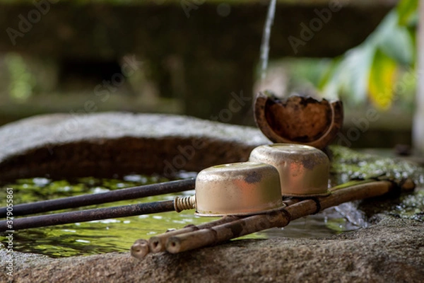 Obraz 手水鉢の柄杓と流れる水