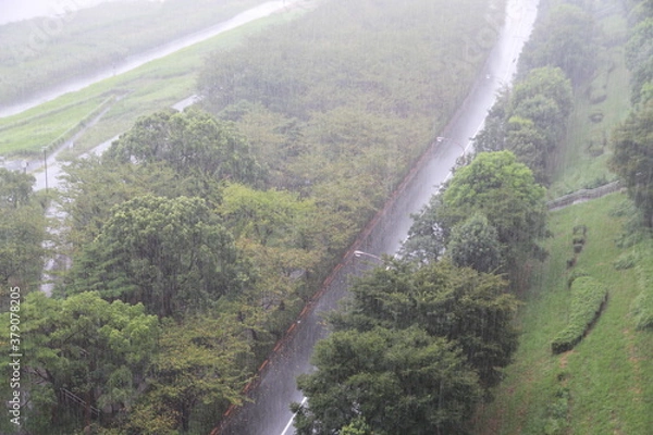 Fototapeta 비오는 여름날의 오후