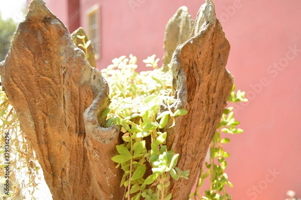 Obraz tree in the forest