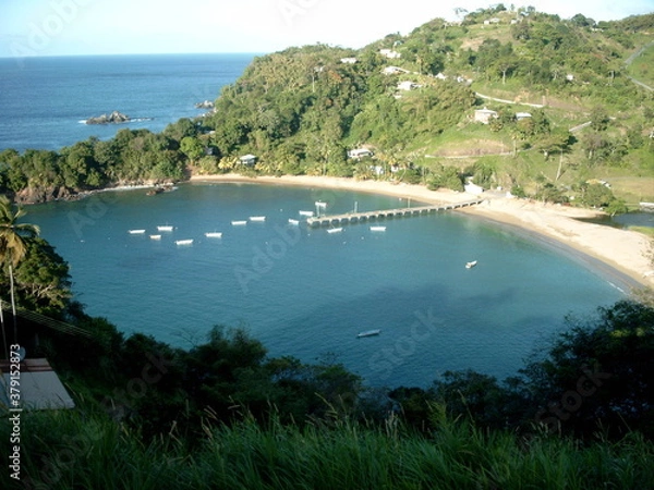 Obraz Tobago