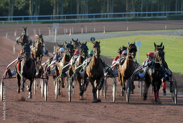 Obraz wyścigi konne kłusem
