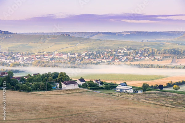 Obraz Champagne region in France. A beautiful view.	