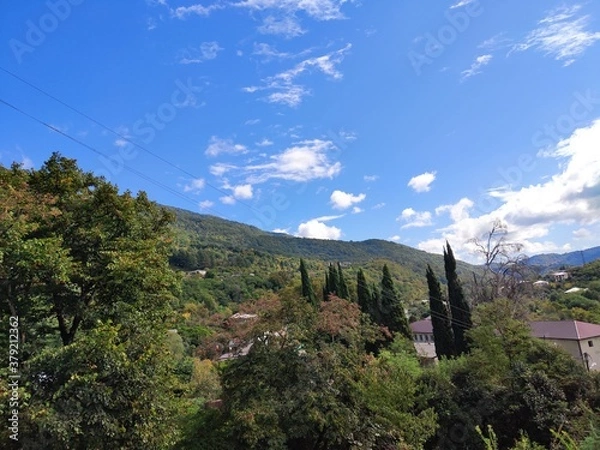 Obraz mountains covered with forest