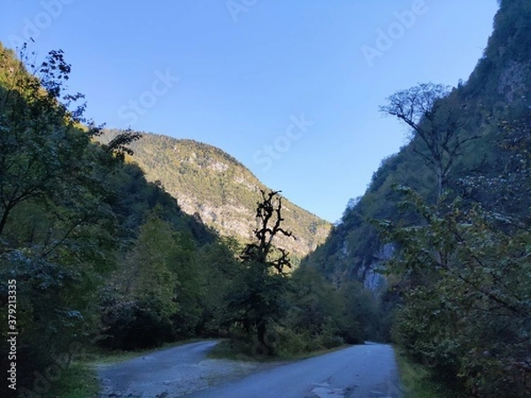 Obraz road in the mountains, mountains