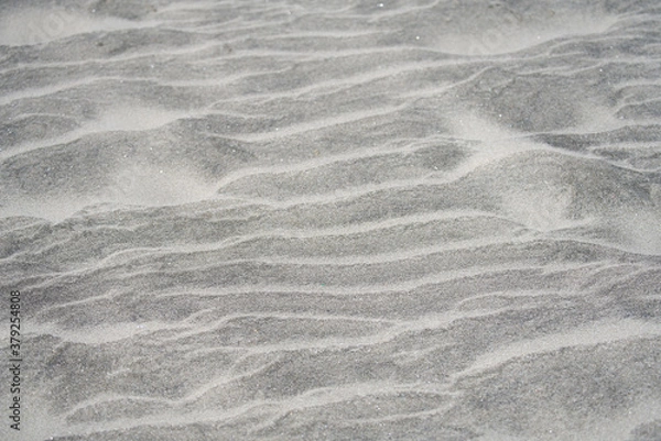 Fototapeta 浜辺の風紋