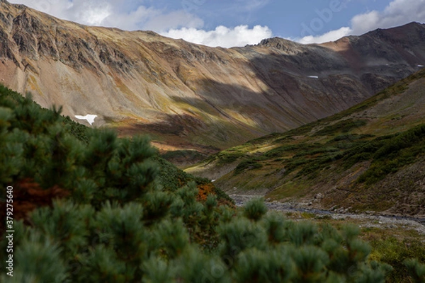 Obraz landscape with sky