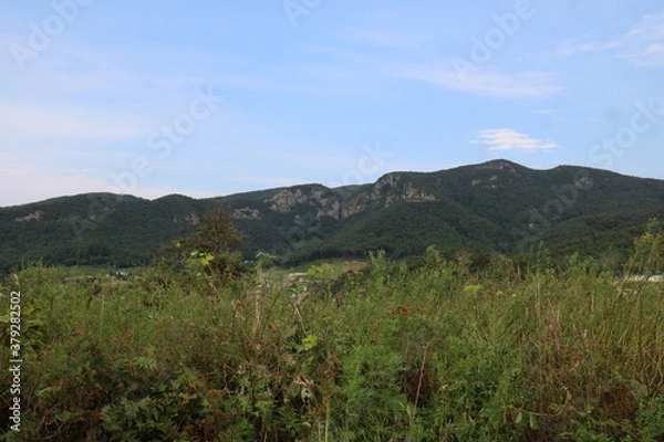Fototapeta landscape with sky
