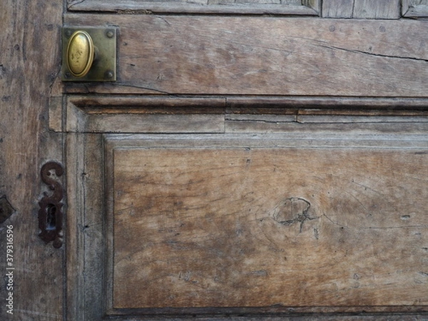 Obraz Bouton en bronze