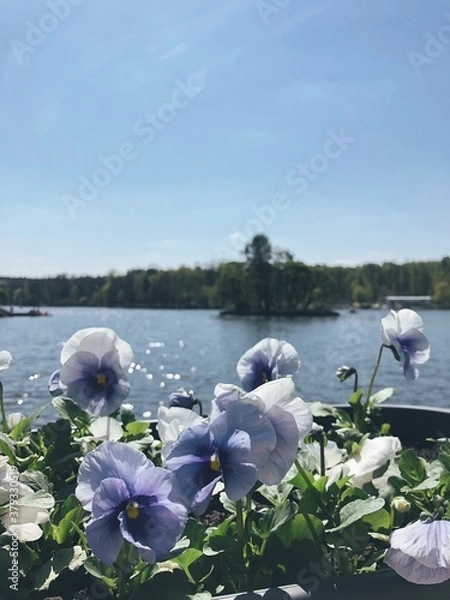 Fototapeta Processed with VSCO with e8 preset