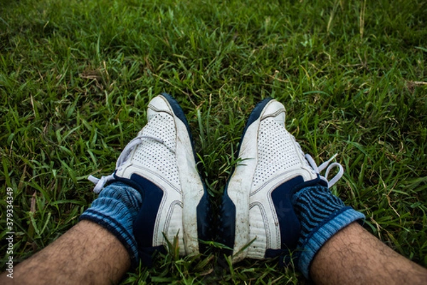 Obraz feet on the grass