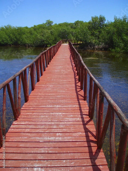 Obraz Red walk bridge