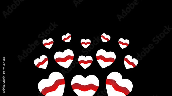 Obraz Belarusian wallpaper with revolution flags. White and red hearts composition on the black background. Vector illustration