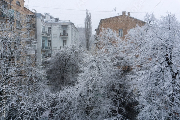 Obraz Frozen trees in the inner city block