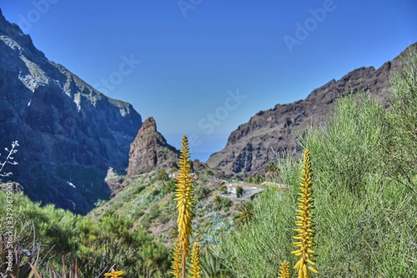Fototapeta View on the masca valley in Tenerife.