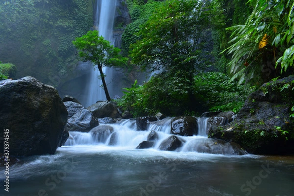 Obraz waterfall in the forest