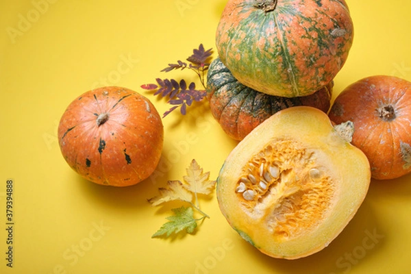 Fototapeta cut pumpkin and different pumpkins on a yellow background, top view, autumn leaves and pumpkins with growths on the peel