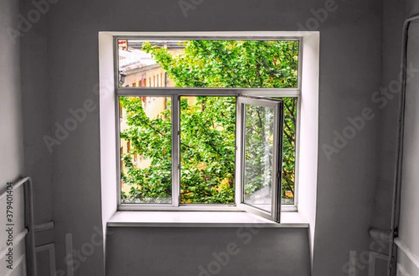 Obraz A new window with an open sash and the view of bright green foliage of the tree and the upper floors of the building.
