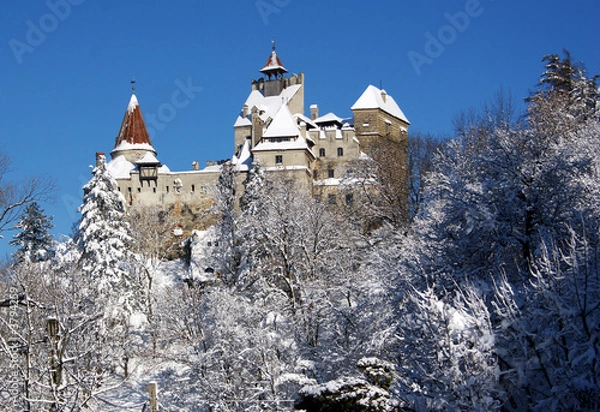 Obraz Bran Castle