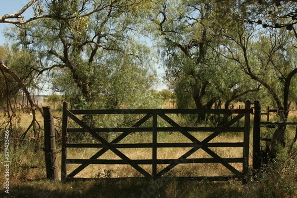 Fototapeta tranquera de campo
