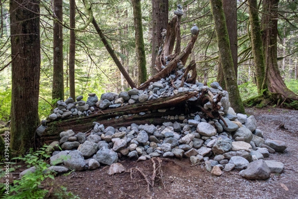 Obraz Rocks in the forrest